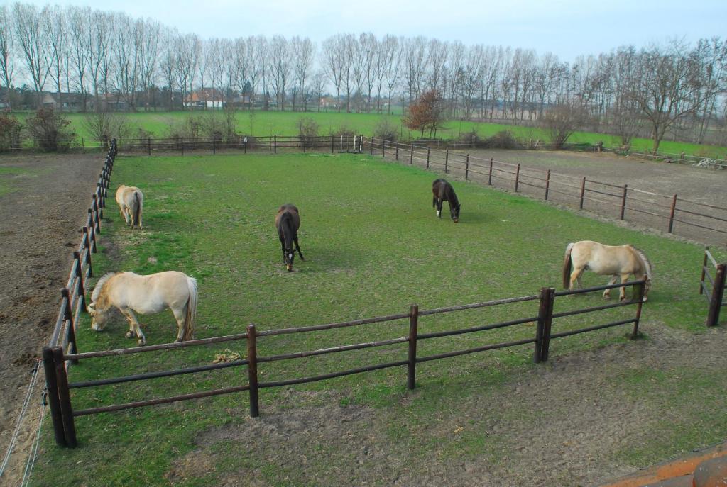 De Rosmolen Vila Ertvelde Exterior foto