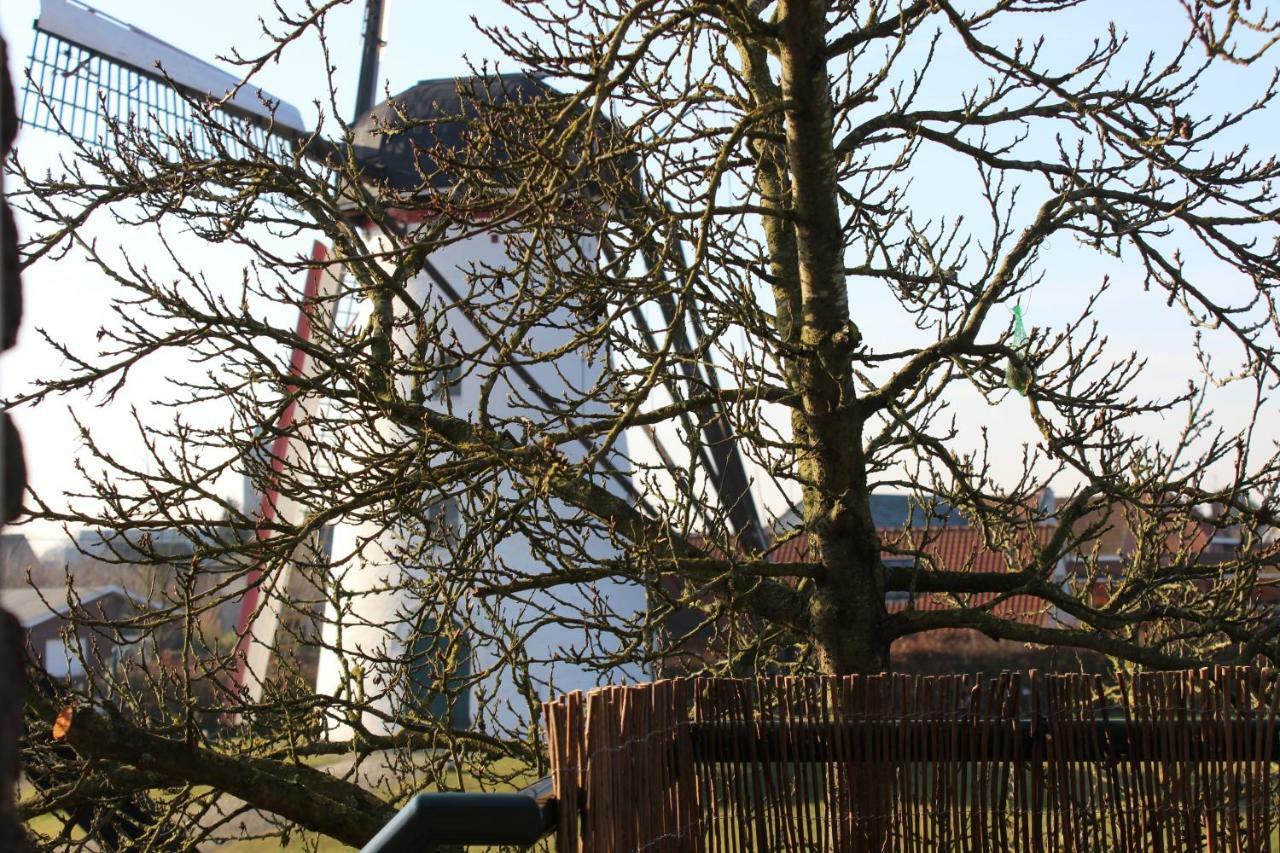De Rosmolen Vila Ertvelde Exterior foto